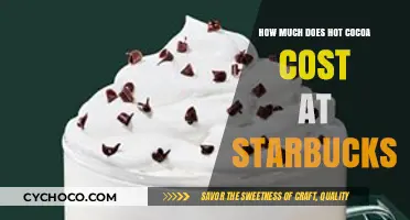 Starbucks Hot Cocoa Price: Cost Breakdown and Value Analysis