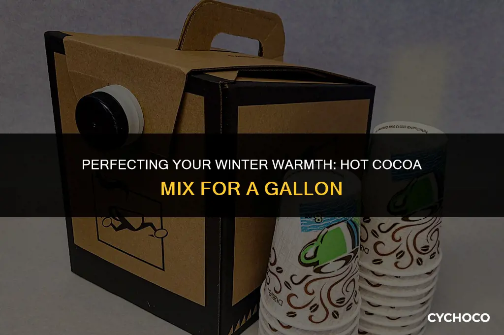 how much hot cocoa mix for 1 gallon