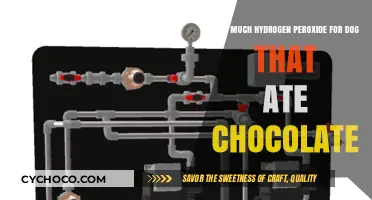 Safe Dosage: Hydrogen Peroxide for Dogs That Ate Chocolate