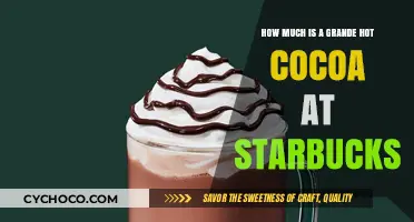 Sipping on Savings: The Cost of a Grande Hot Cocoa at Starbucks