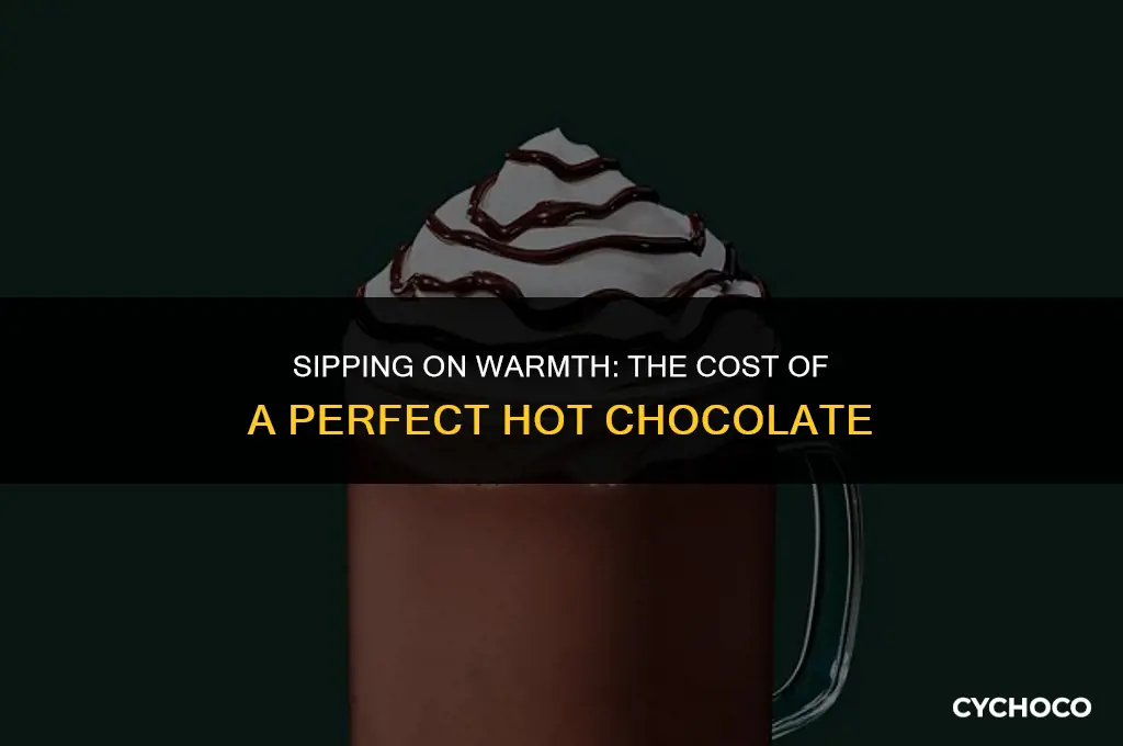 how much is a hot chocolate