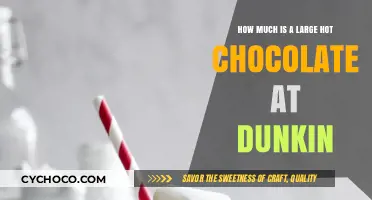 Savoring Dunkin's Large Hot Chocolate: Price and Delight