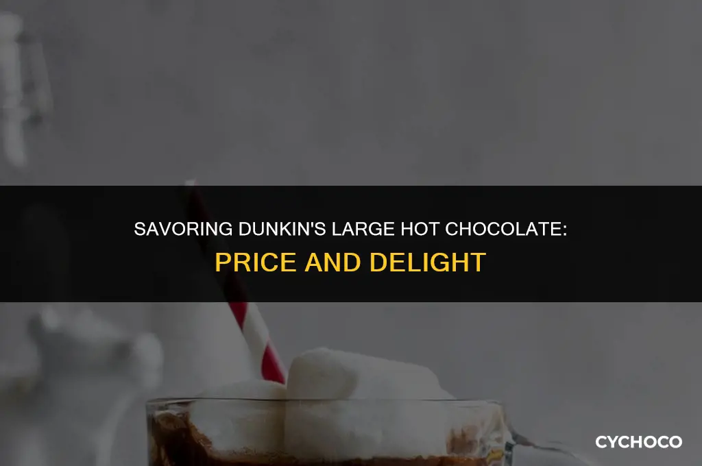 how much is a large hot chocolate at dunkin