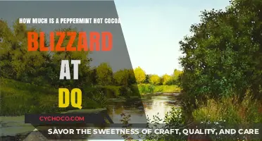 Indulge in Winter Bliss: DQ's Peppermint Hot Cocoa Blizzard Price Revealed!