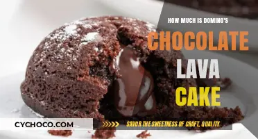Domino's Chocolate Lava Cake Price: A Sweet Indulgence Worth Every Penny