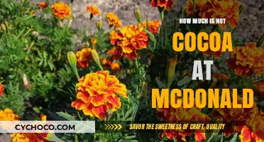 Sipping on Savings: The Cost of Hot Cocoa at McDonald's
