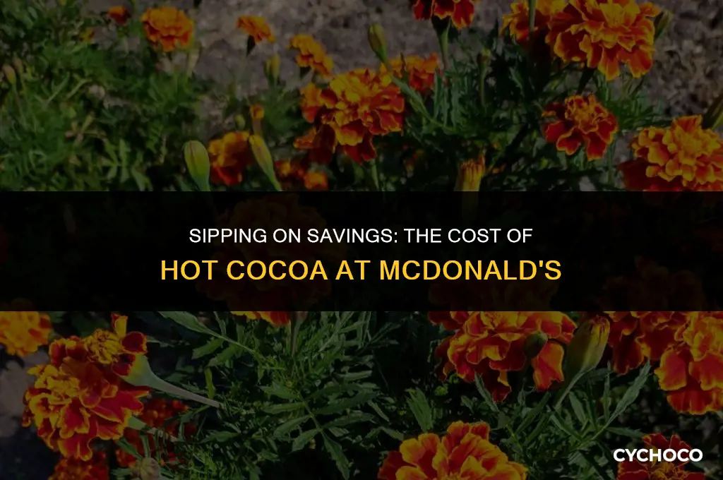how much is hot cocoa at mcdonalds