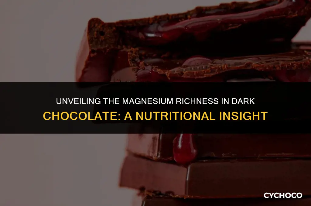 how much magnesium is in dark chocolate