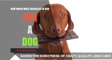 The Sweet Danger: How Much Milk Chocolate Is Bad for a Dog?