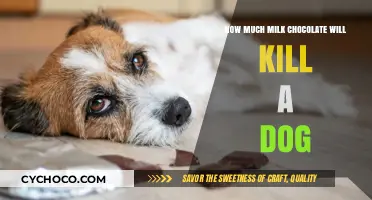 The Lethal Limit: Milk Chocolate's Deadly Dose for Dogs