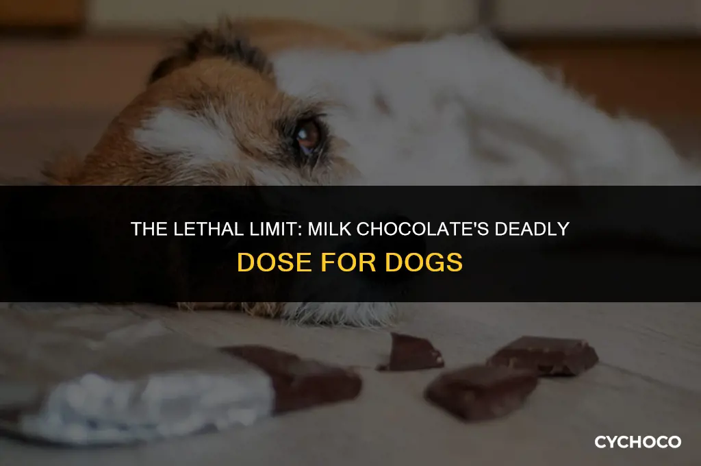 how much milk chocolate will kill a dog