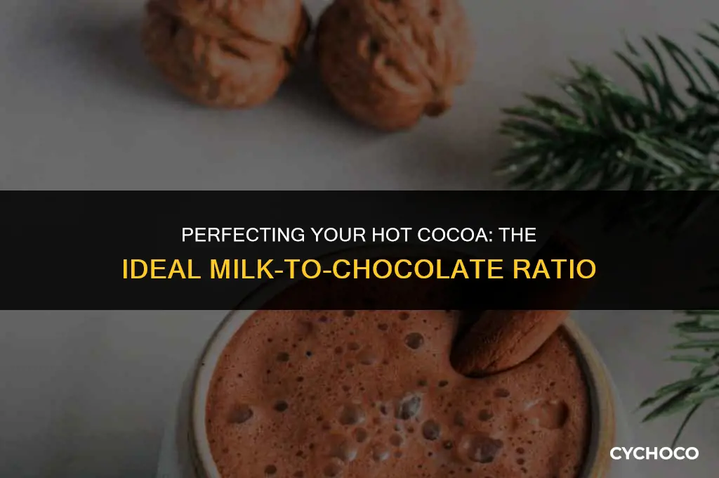 how much milk to put in hot cocoa