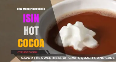 Exploring the Phosphorus Content in Your Favorite Hot Cocoa