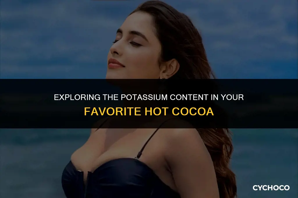 how much potassiumis in hot cocoa
