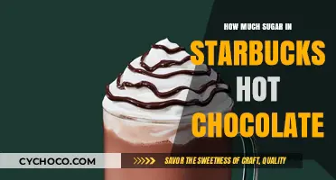 Sweet Treat or Sugar Overload? Starbucks Hot Chocolate Exposed