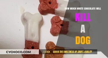 The Lethal Dose: White Chocolate's Deadly Threat to Dogs