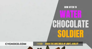 Nurturing Chocolate Soldiers: A Guide to Optimal Watering Frequency