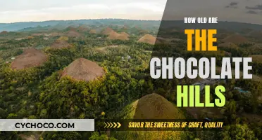 Unveiling the Timeless Mystery: The Age of Chocolate Hills