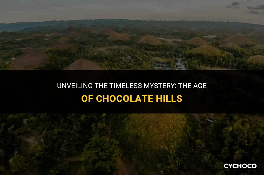 how old are the chocolate hills