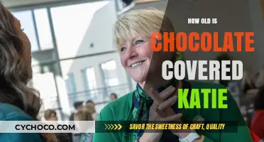 Chocolate Covered Katie's Age: Unwrapping the Sweet Mystery