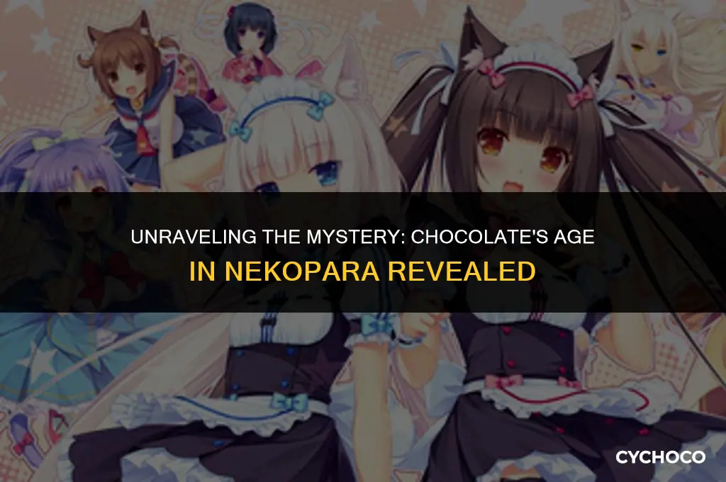 how old is chocolate from nekopara