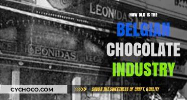 Unveiling the Rich History of Belgium's Chocolate Industry