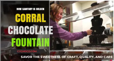 Unveiling the Hygiene Secrets of Golden Corral's Chocolate Fountain