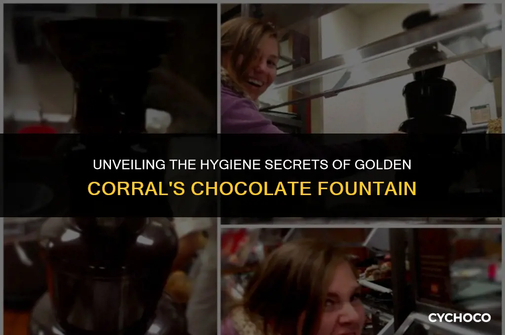 how sanitary is golden corral chocolate fountain