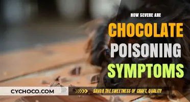 Decoding Chocolate Poisoning: Symptoms and Severity Explained