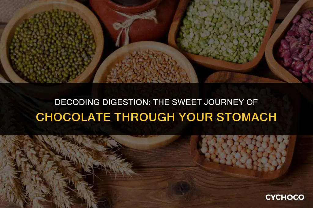 how soon will chocolate leave the stomach