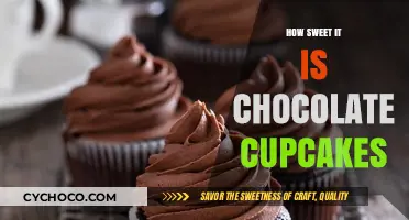 Indulge in Bliss: Decadent Chocolate Cupcakes to Satisfy Your Sweet Tooth