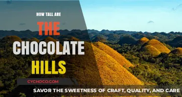 Unveiling the Majestic Height of Bohol's Chocolate Hills