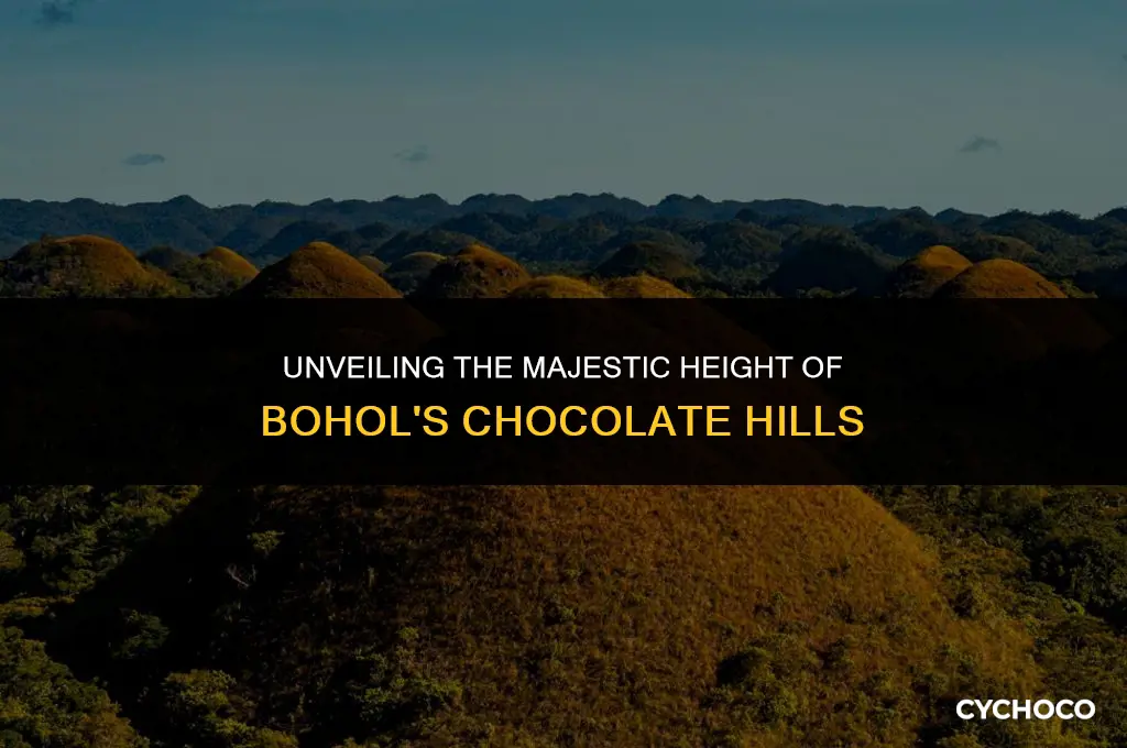 how tall are the chocolate hills