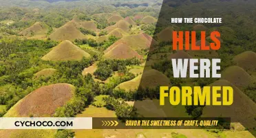 Unveiling the Mystical Origins of Bohol's Chocolate Hills