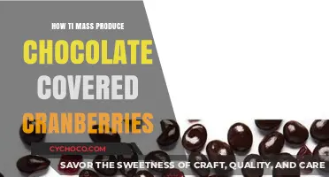 Mastering Mass Production: Chocolate-Covered Cranberries Made Easy