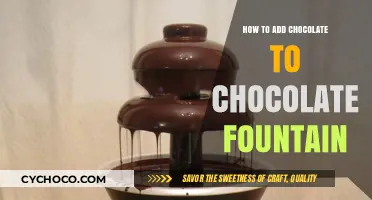 Sweetening the Flow: A Guide to Enriching Your Chocolate Fountain