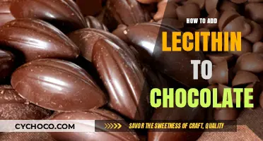 Enhancing Chocolate Texture: The Lecithin Addition Guide