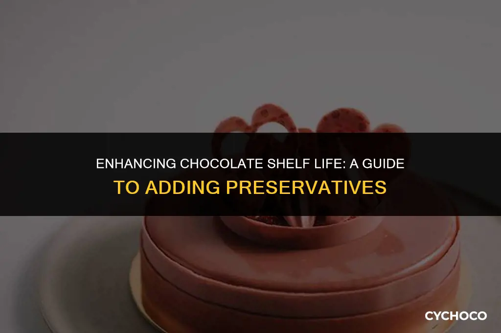 how to add preservative in chocolate