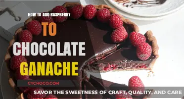 Decadent Chocolate Ganache with a Raspberry Twist