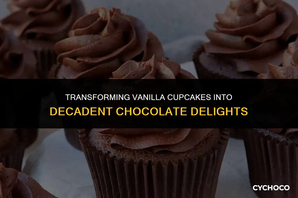 how to adjust vanilla cupcakes to chocolate