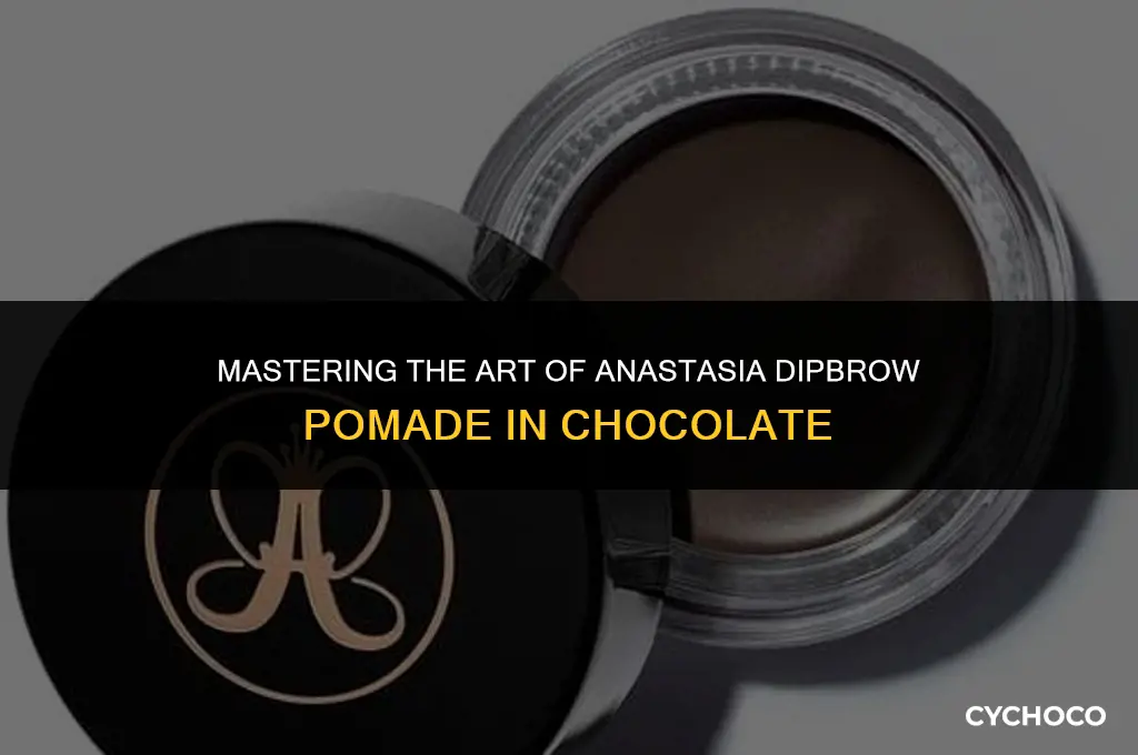 how to apply anastasia dipbrow pomade chocolate