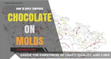 Mastering the Art of Tempered Chocolate Molding: A Step-by-Step Guide