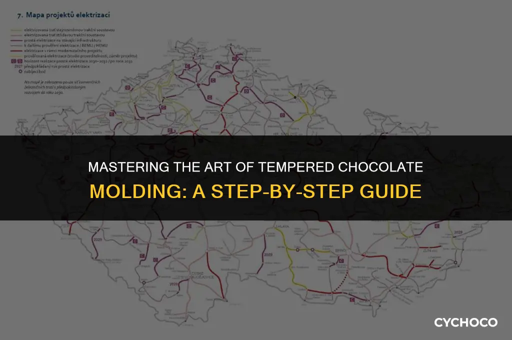 how to apply tempered chocolate on molds
