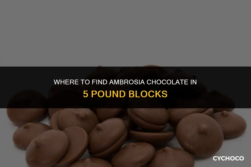 how to buy ambrosia chocolate in 5 pound block
