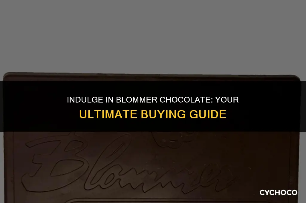 how to buy blommer chocolate