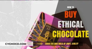 Indulge in Conscience: A Guide to Sourcing Ethical Chocolate