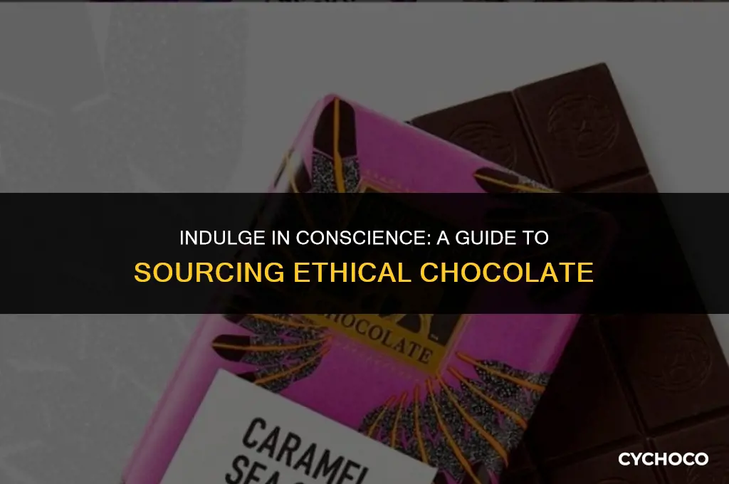 how to buy ethical chocolate