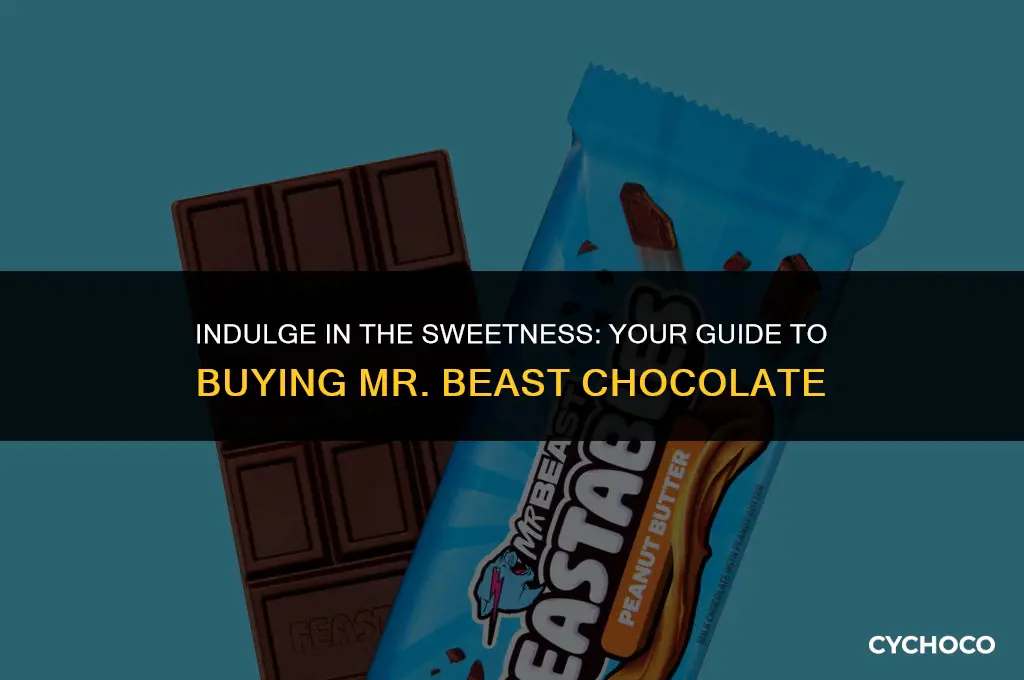 how to buy mr beast chocolate