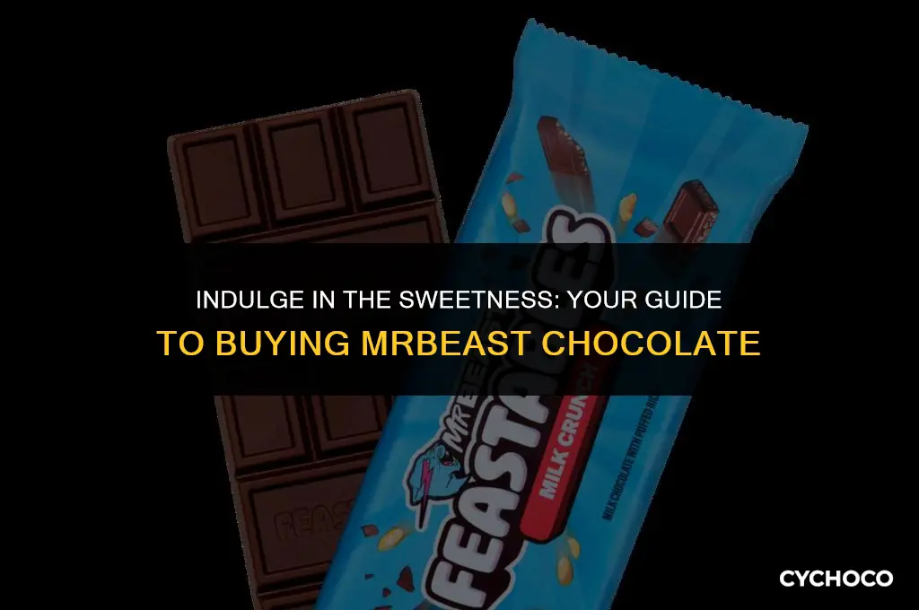 how to buy mrbeast chocolate
