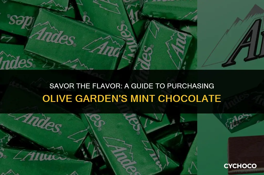 how to buy olive garden mint chocolate